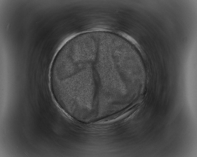 X0000084571423200703231811