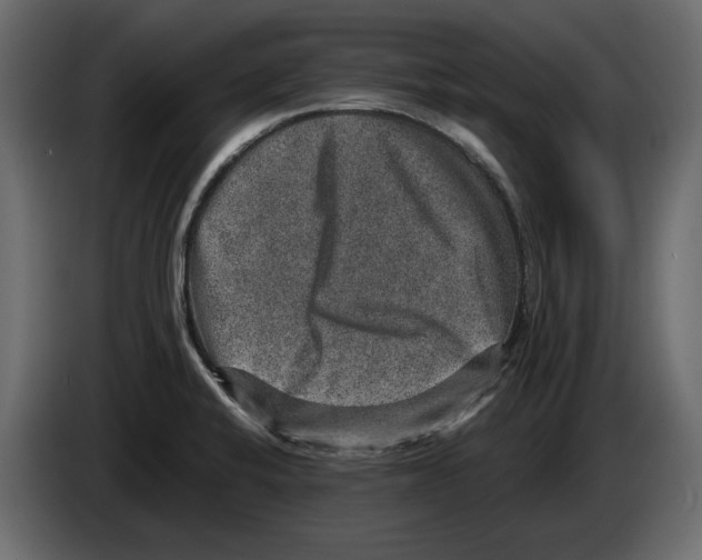 X0000084571424200703231811