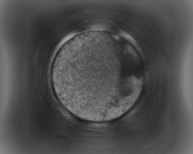 X0000084571427200703231811