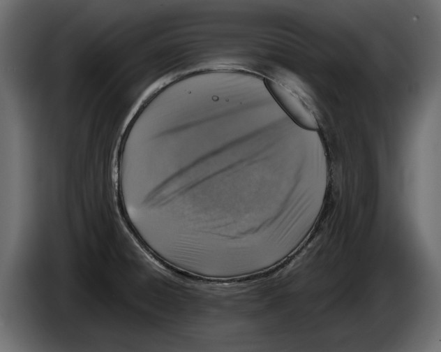 X0000084571428200703231811