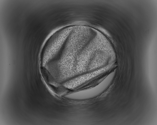 X0000084571430200703231811