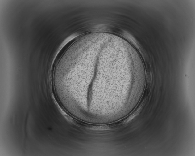 X0000084571434200703231811