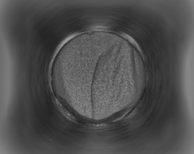 X0000084571435200703231811