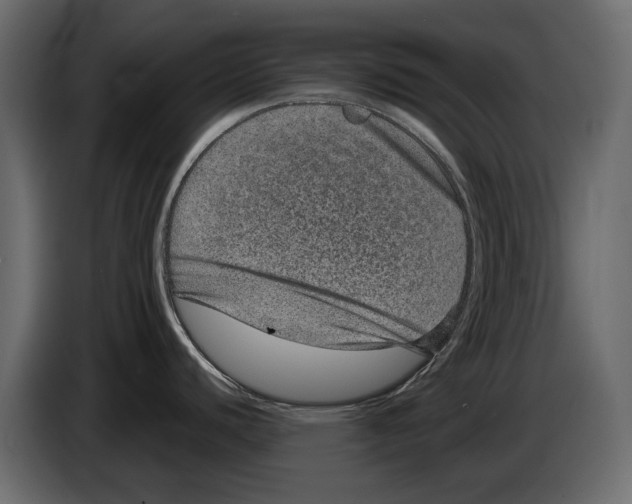 X0000084571440200703231811