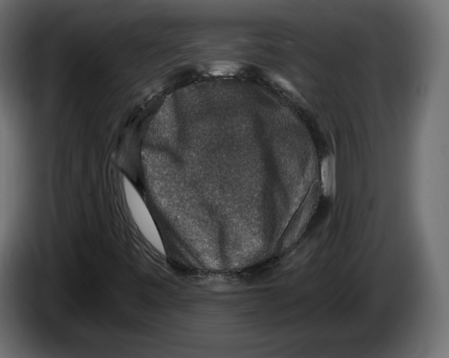 X0000084571443200703231811