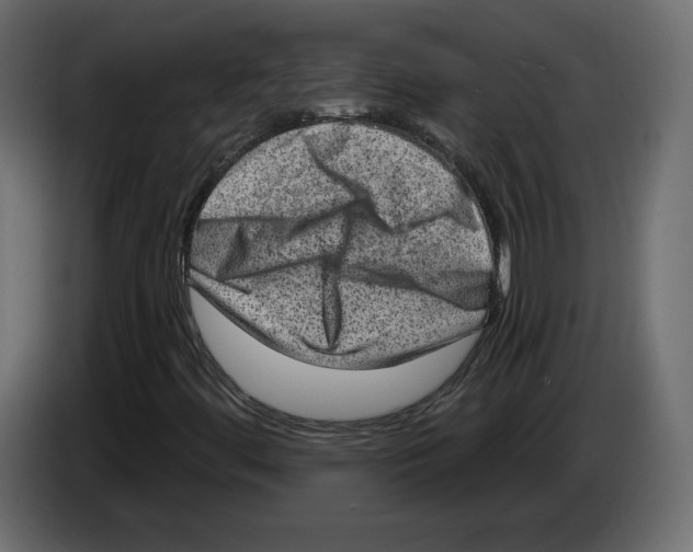 X0000084571444200703231811