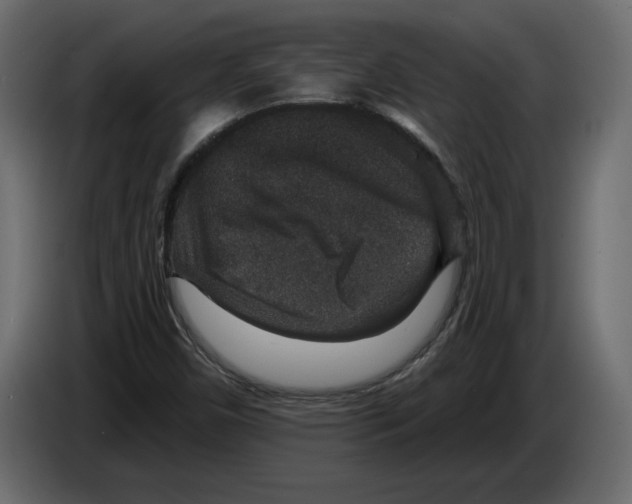 X0000084571450200703231811
