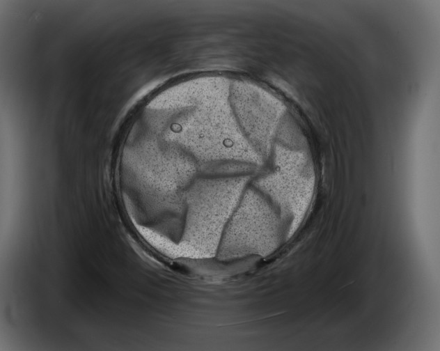 X0000084571452200703231811