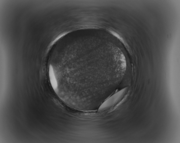 X0000084571453200703231811