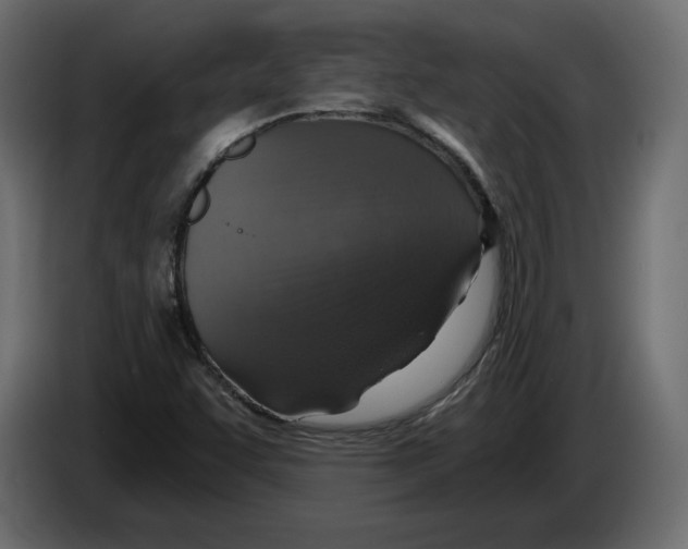 X0000084571455200703231811