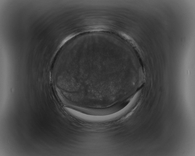 X0000084571457200703231810
