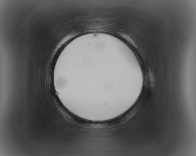 X0000084571458200703231810