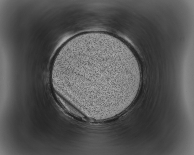 X0000084571460200703231810