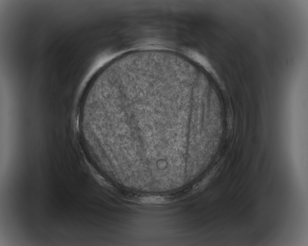 X0000084571462200703231810