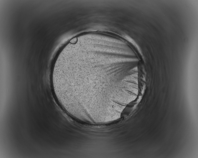 X0000084571464200703231810