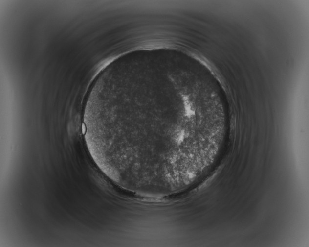 X0000084571465200703231810