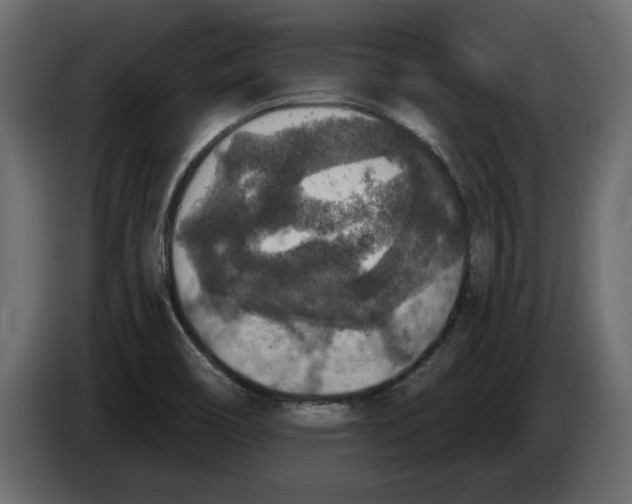 X0000084571466200703231810