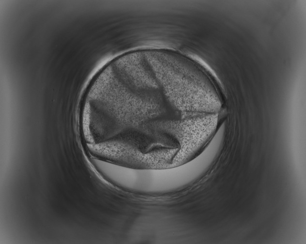 X0000084571468200703231810