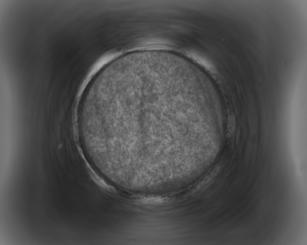 X0000084571470200703231810