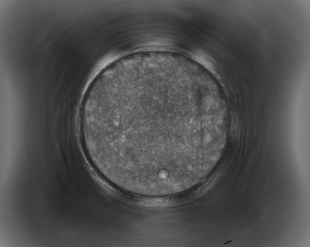 X0000084571474200703231810