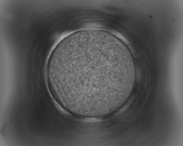 X0000084571478200703231810