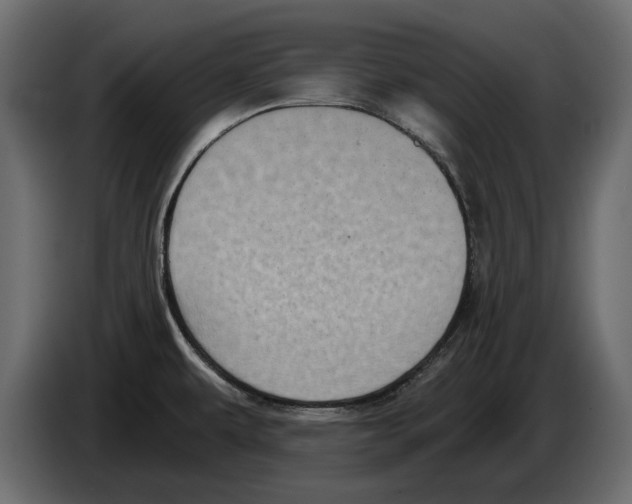 X0000084571479200703231810