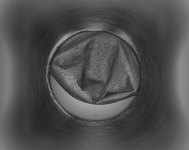 X0000084571480200703231810