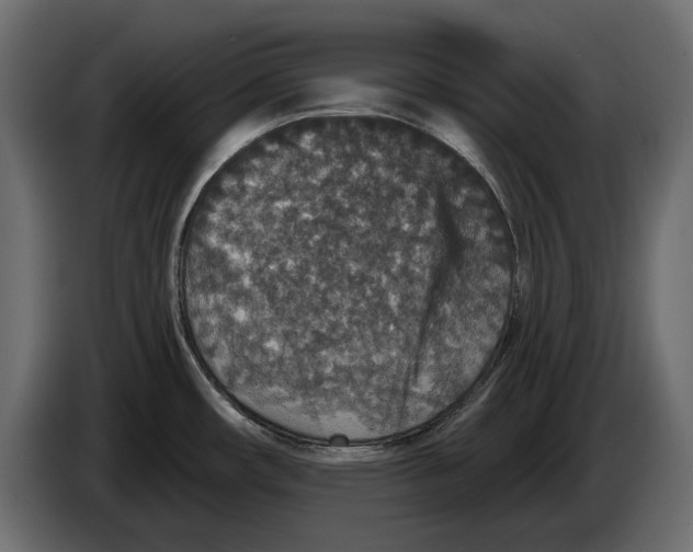 X0000084571482200703231810