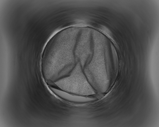 X0000084571484200703231810