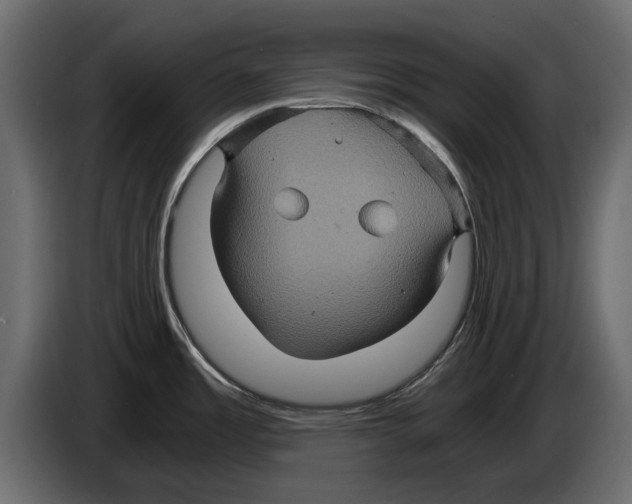 X0000084571485200703231810