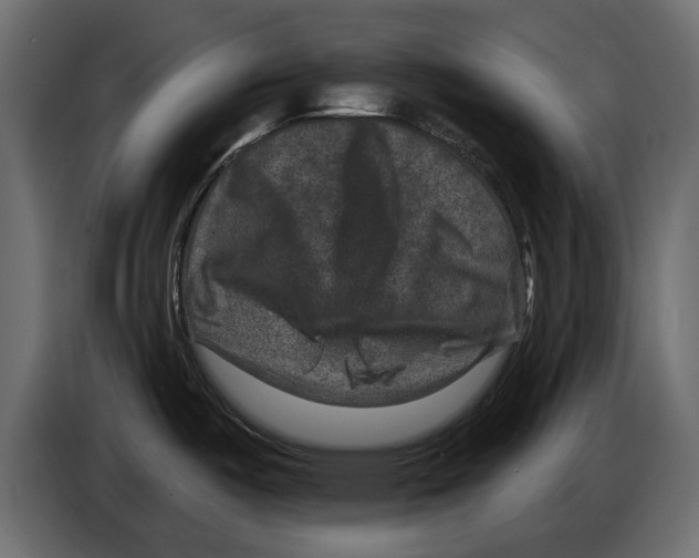 X0000084571487200703231810