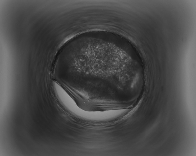 X0000084571497200703231809