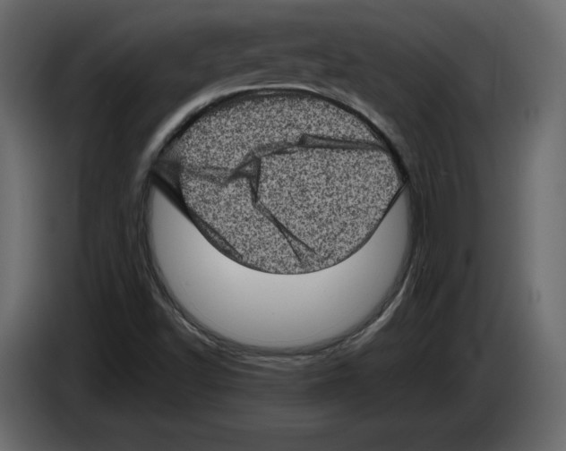 X0000084571502200703231810