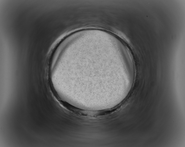 X0000084571504200703231810