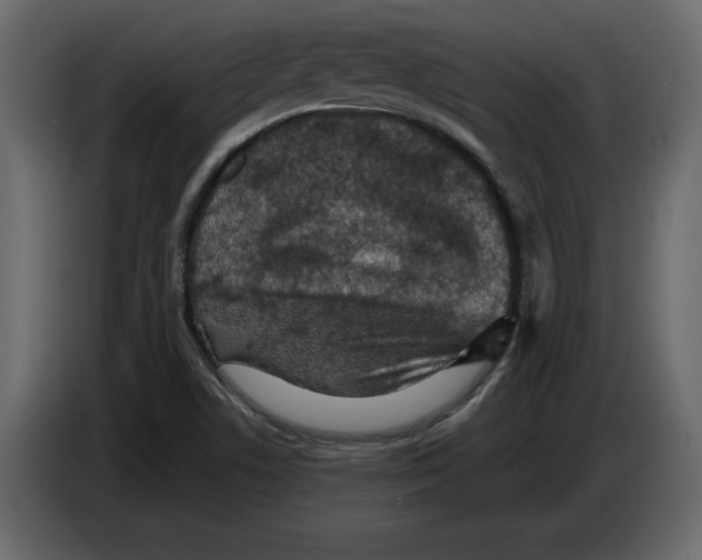 X0000084571506200703231810