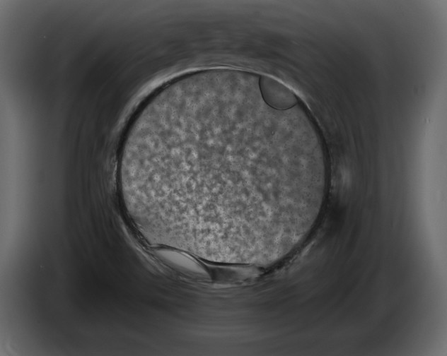 X0000084571507200703231810