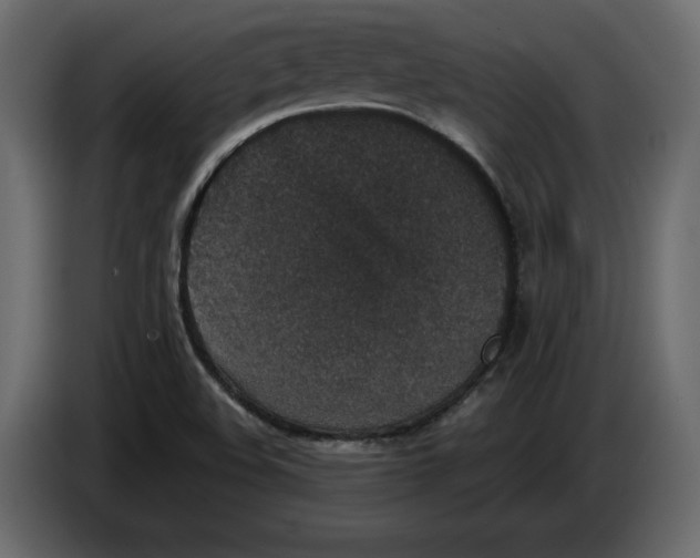 X0000084571508200703231810