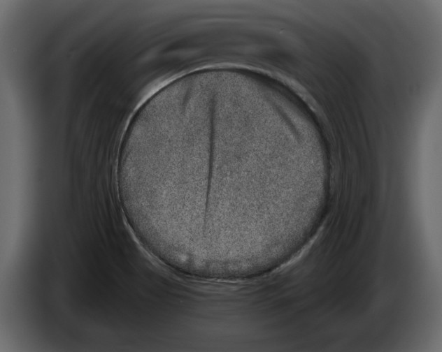 X0000084571513200703231810