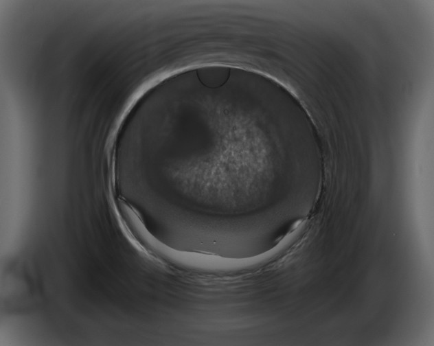 X0000084571515200703231810