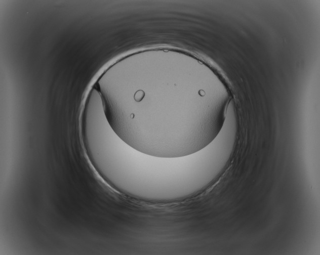 X0000084571516200703231810