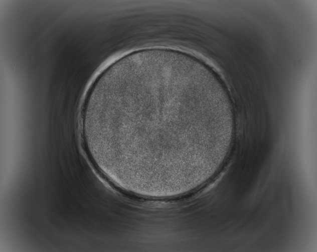 X0000084571517200703231810