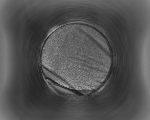 X0000084571521200703231810