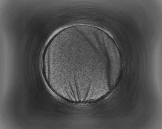 X0000084571523200703231810