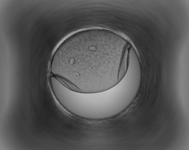 X0000084571524200703231810