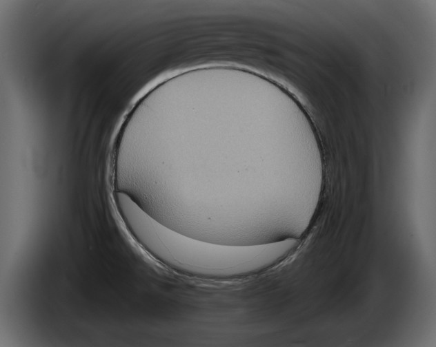 X0000084571526200703231810