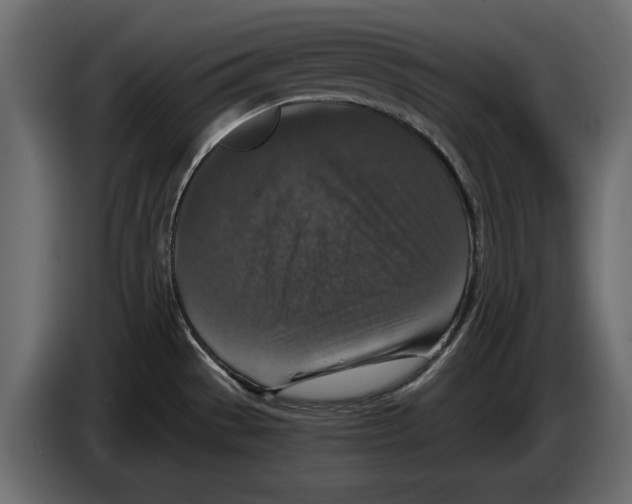 X0000084571529200703231810