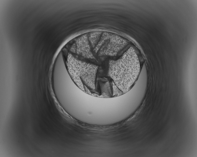 X0000084571530200703231810