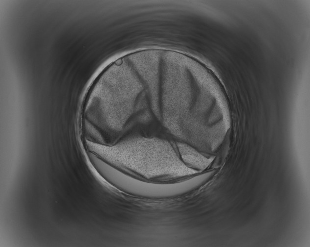 X0000084571531200703231810