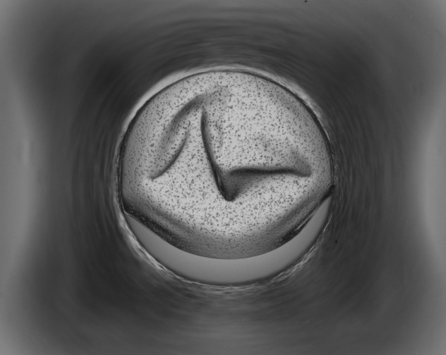 X0000084571534200703231810