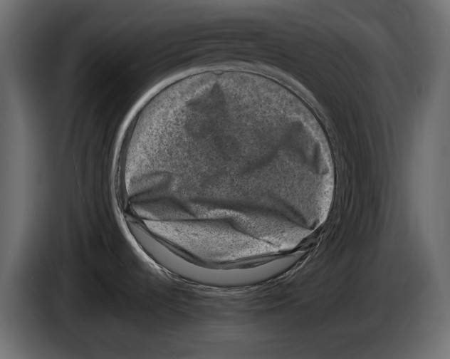 X0000084571536200703231810